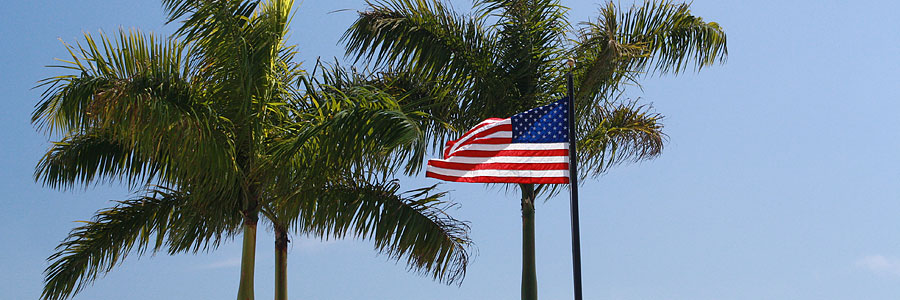 American flag waving on a pole framed by tall palm trees against a clear blue sky; calm, bright, patriotic mood